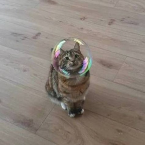 Ark Patrol Let Go - Slowed + Reverb