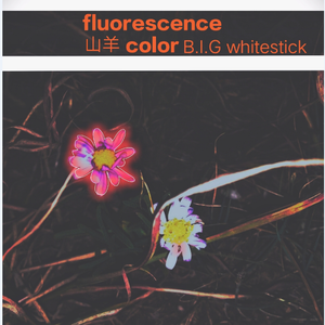 Fluorescencecolor