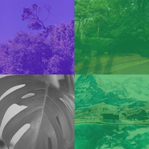 抚慰的餐厅回忆