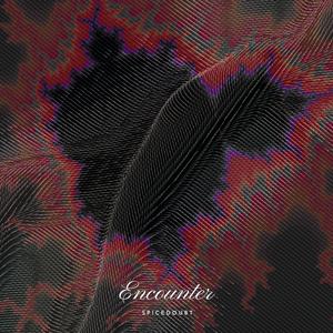 Encounter