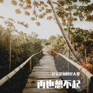 再也想不起