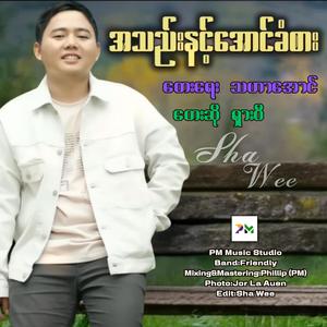 အသည်းနင့်အောင်ခံစား-SHA WEE