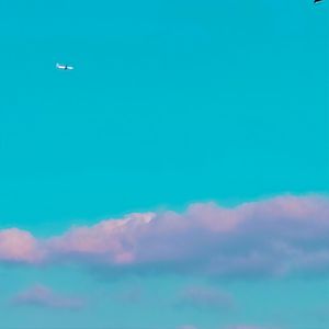 Dark Genesis(孕于黑暗)