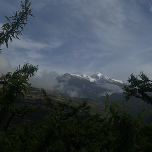 月光下的长亭.mp3