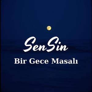 Bir Gece Masalı