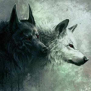 狼（翻自 韦礼安）