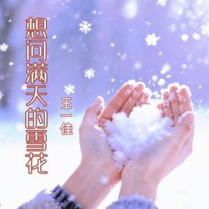 想问满天的雪花