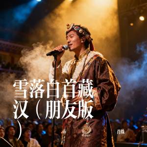 雪落白首藏汉（朋友版）