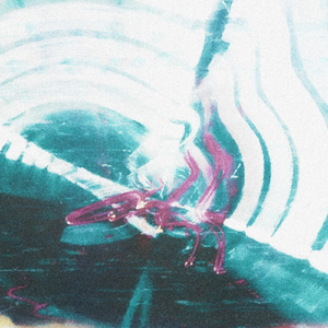 Something over the Horizon