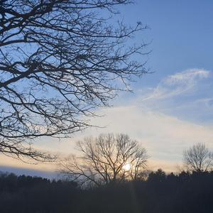 G (from Swingland)