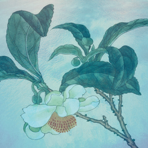 휴식과 숙면을 위해