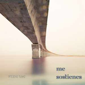 Me Sostienes