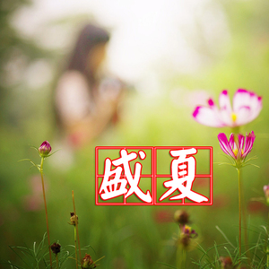 盛夏mix