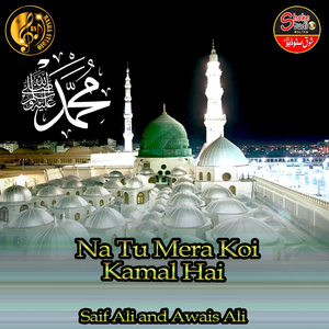Na Tu Mera Koi Kamal Hai (1)