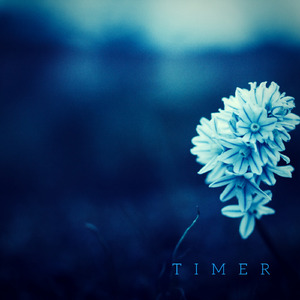 Timer