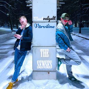 Mustvalgelt värviline