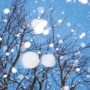 我在昨天的梦里又看见了你