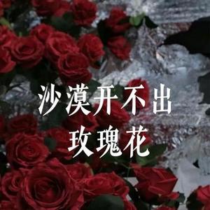 沙漠开不出玫瑰花 (Cover 刘书云)