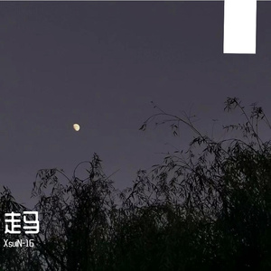 走马