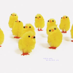 사랑스런 날개짓