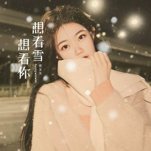 想看你想看雪 (DJ阿能版)