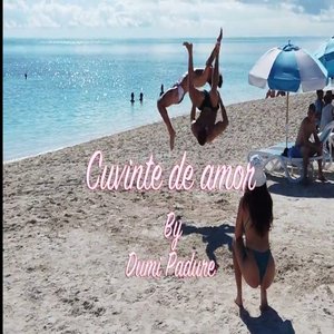 Cuvinte De Amor by Dumi Padure