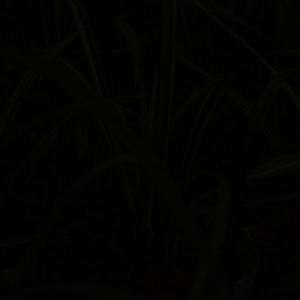 迷津（Cover 沈以诚）