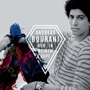 Nur in meinem Kopf (Radio Edit)