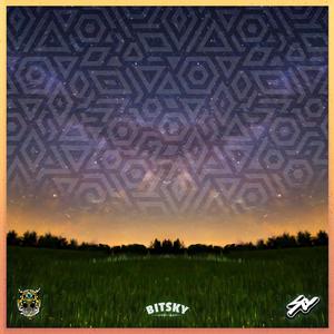 I Guess So... (feat. Bitsky)