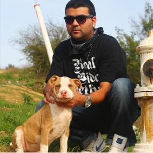 Tira La Piedra y La Mano La Esconde