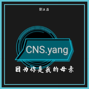 因为你是我的母亲（母带）