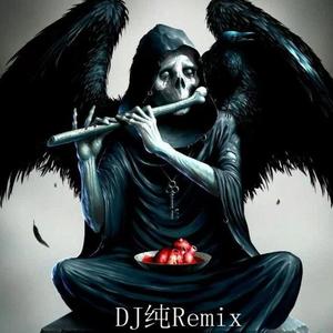 Dj纯-Work Work Work（Dj纯 remix）