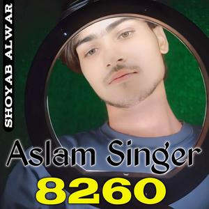 Aslam Singer 8260