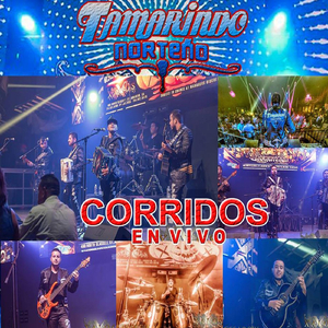 Te Metistes (En Vivo)
