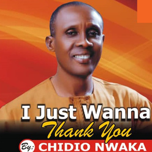 I Just Wanna Thank You