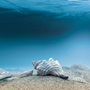 Ocean of Youth, Pt. 1