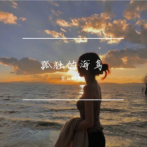 孤独的海鸟 伴奏