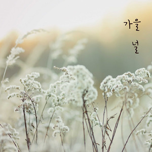 가을 널