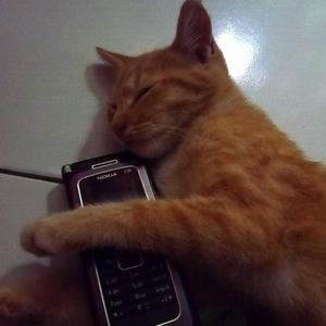 hello ?