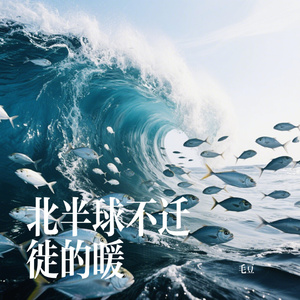 北半球不迁徙的暖