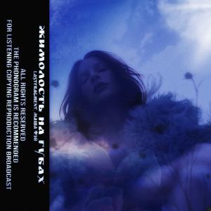 Жимолость (Lastfragment Remix)