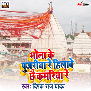 Bhola Pujriya Re Hilabe Chhe Kamriya Re