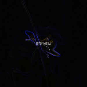 Брожу весенними ночами