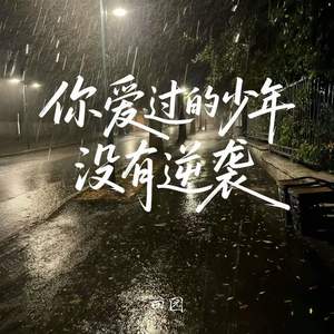 你爱过的少年没有逆袭 (DJ苦ferry版)