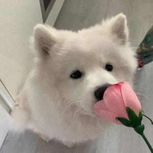 刻在我心里的名字(钢琴版)