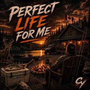 Perfect Life For Me