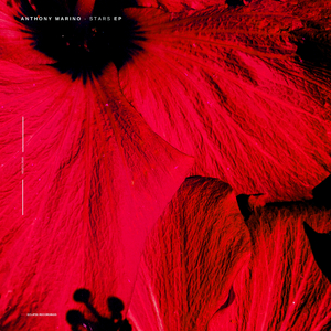 Elune (Original Mix)