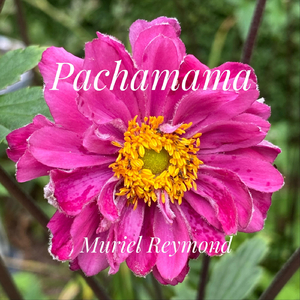 Pachamama