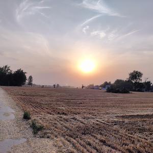 捞起月亮的渔夫