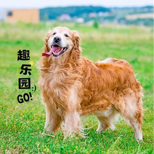 温馨旋律 (钢琴)